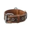 FENDI FF Coated Canvas & Leather Collar Men